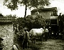 trebbiatura 1940